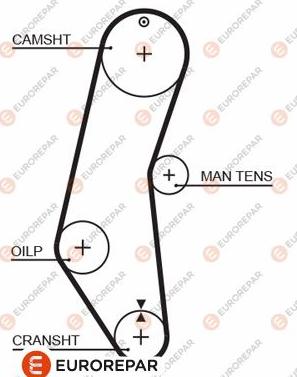 EUROREPAR 1633139580 - Courroie de distribution cwaw.fr