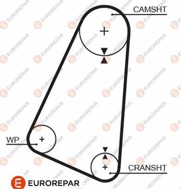 EUROREPAR 1633136280 - Courroie de distribution cwaw.fr