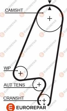 EUROREPAR 1633131080 - Courroie de distribution cwaw.fr