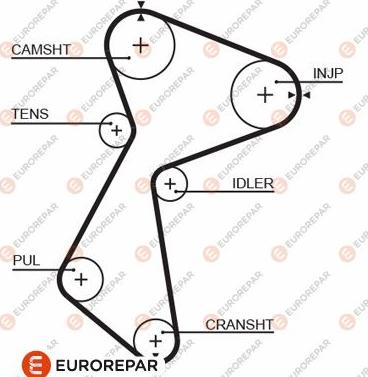 EUROREPAR 1633138580 - Courroie de distribution cwaw.fr