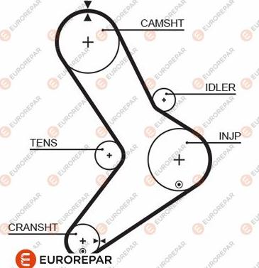 EUROREPAR 1633138480 - Courroie de distribution cwaw.fr