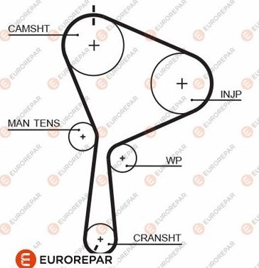 EUROREPAR 1633132380 - Courroie de distribution cwaw.fr