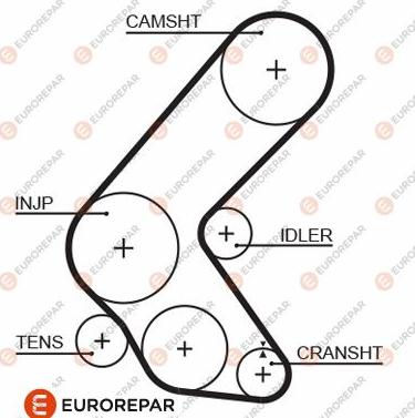 EUROREPAR 1633137680 - Courroie de distribution cwaw.fr