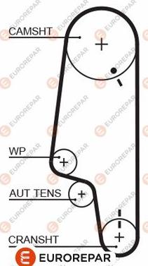 EUROREPAR 1633137480 - Courroie de distribution cwaw.fr