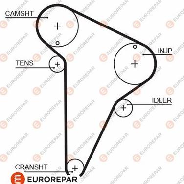 EUROREPAR 1633128580 - Courroie de distribution cwaw.fr