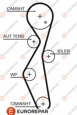EUROREPAR 1633127280 - Courroie de distribution cwaw.fr