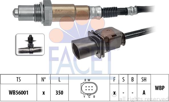 FACET 10.8494 - Sonde lambda cwaw.fr