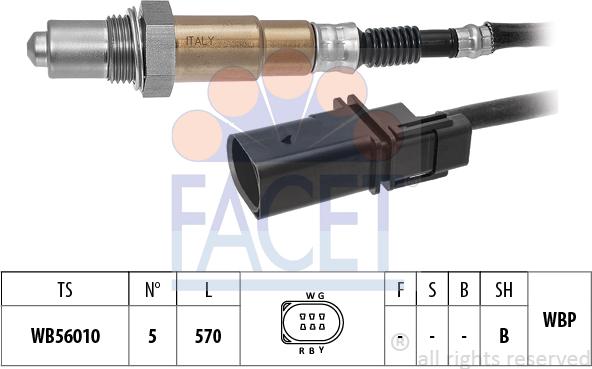 FACET 10.8597 - Sonde lambda cwaw.fr