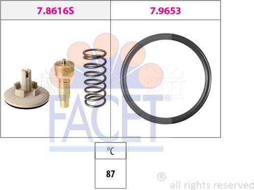 FACET 7.8616 - Thermostat d'eau cwaw.fr