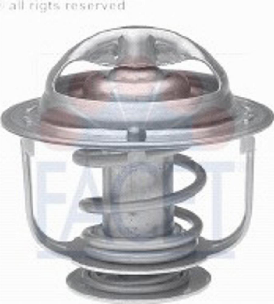 FACET 78373 - Thermostat d'eau cwaw.fr