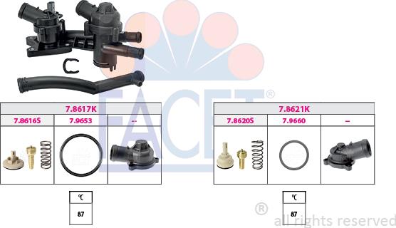 FACET 7.7955KK - Thermostat d'eau cwaw.fr