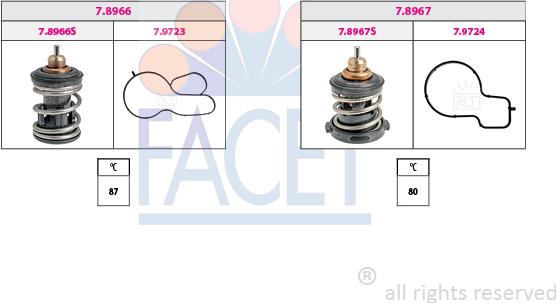 FACET 7.7983KK - Thermostat d'eau cwaw.fr