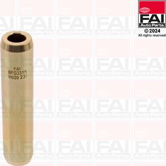 FAI AutoParts BFG3315 - Guide de soupape cwaw.fr