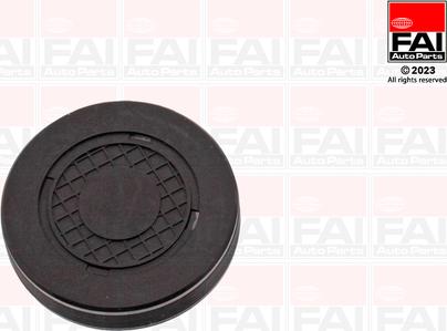 FAI AutoParts RMG880B - Bouchon, axe de culbuteurs-nez fileté cwaw.fr