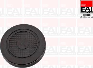 FAI AutoParts RMG880C - Bouchon, axe de culbuteurs-nez fileté cwaw.fr