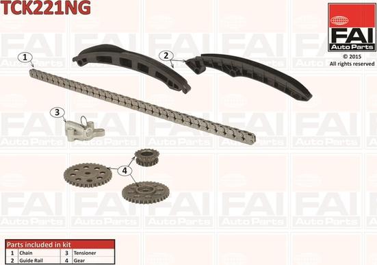 FAI AutoParts TCK221NG - Kit de distribution par chaîne cwaw.fr