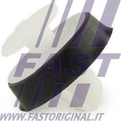 Fast FT96309 - Clip, enjoliveur cwaw.fr