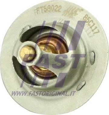 Fast FT58022 - Thermostat d'eau cwaw.fr