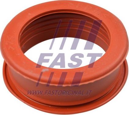 Fast FT61773 - Gaine de suralimentation cwaw.fr