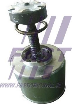 Fast FT32290 - Piston, étrier de frein cwaw.fr