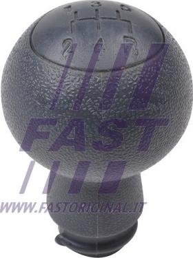 Fast FT73205 - Pommeau cwaw.fr