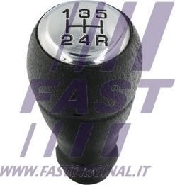 Fast FT73235 - Pommeau cwaw.fr