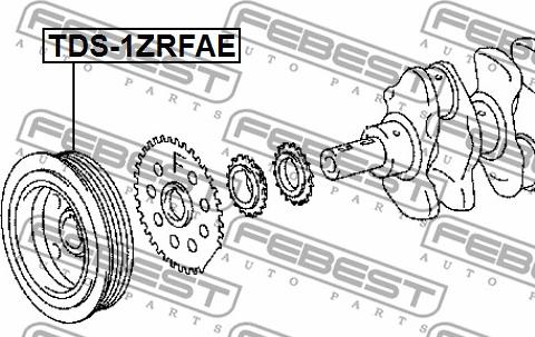 Febest TDS-1ZRFAE - Poulie, vilebrequin cwaw.fr