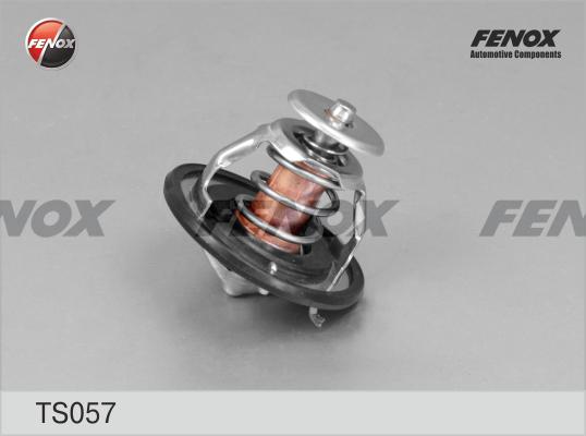 Fenox TS057 - Thermostat d'eau cwaw.fr