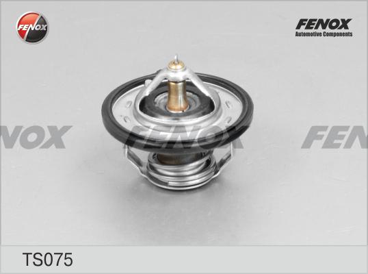 Fenox TS075 - Thermostat d'eau cwaw.fr