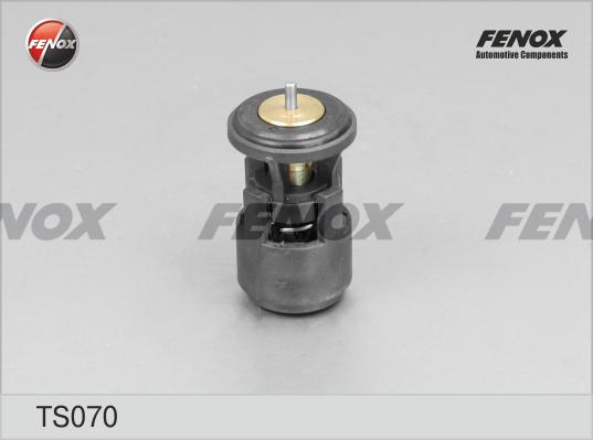 Fenox TS070 - Thermostat d'eau cwaw.fr