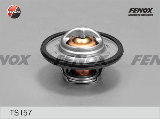 Fenox TS157 - Thermostat d'eau cwaw.fr