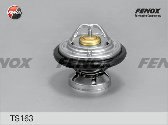 Fenox TS163 - Thermostat d'eau cwaw.fr