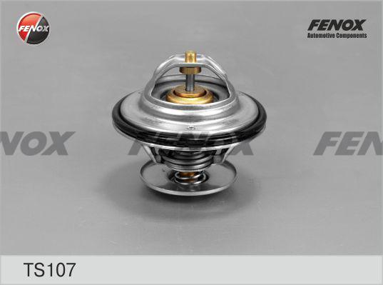 Fenox TS107 - Thermostat d'eau cwaw.fr