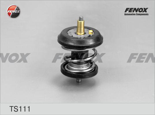 Fenox TS111 - Thermostat d'eau cwaw.fr