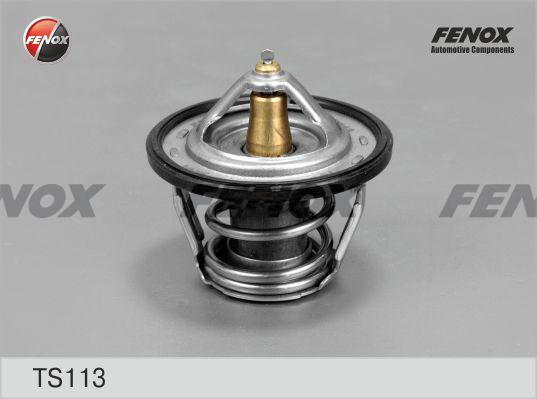 Fenox TS113 - Thermostat d'eau cwaw.fr