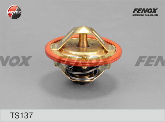 Fenox TS137 - Thermostat d'eau cwaw.fr