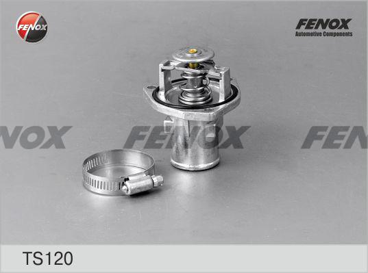 Fenox TS120 - Thermostat d'eau cwaw.fr