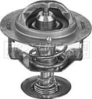 First Line FTK383 - Thermostat d'eau cwaw.fr