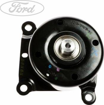 FORD 1425498 - Jeu de courroies trapézoïdales à nervures cwaw.fr