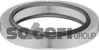 FRAM CA5376 - Filtre à air cwaw.fr