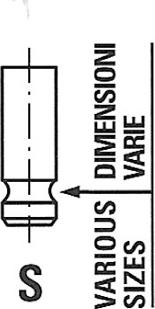 Freccia R6239/SNT - Soupape d'admission cwaw.fr