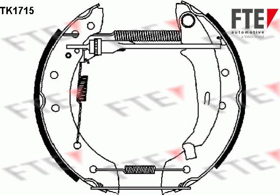 FTE 9110005 - Jeu de mâchoires de frein cwaw.fr