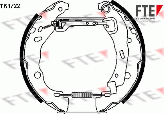 FTE 9110007 - Jeu de mâchoires de frein cwaw.fr