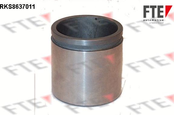 FTE 9313064 - Piston, étrier de frein cwaw.fr