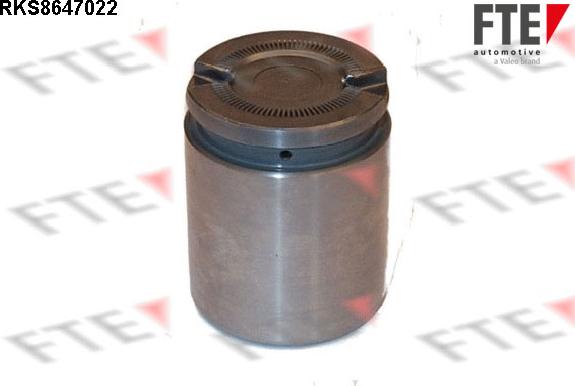 FTE RKS8647022 - Piston, étrier de frein cwaw.fr