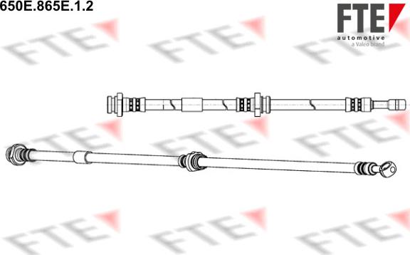 FTE 650E.865E.1.2 - Flexible de frein cwaw.fr