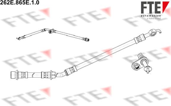 FTE 262E.865E.1.0 - Flexible de frein cwaw.fr