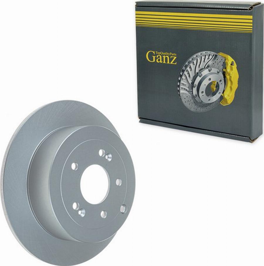 Ganz GIJ10111 - Disque de frein cwaw.fr