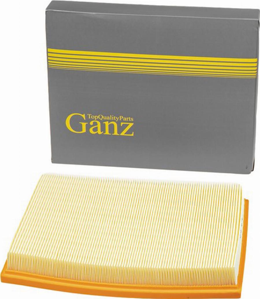 Ganz GIR04022 - Filtre à air cwaw.fr