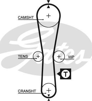 Gates 5454XS - Courroie de distribution cwaw.fr